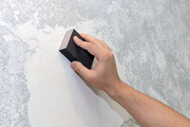 Westlake Village, CA Mold Removal Company