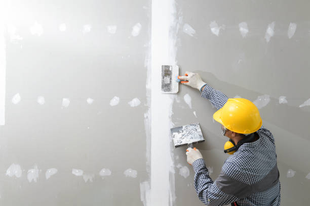 Best Mold Prevention Services  in Westlake Village, CA