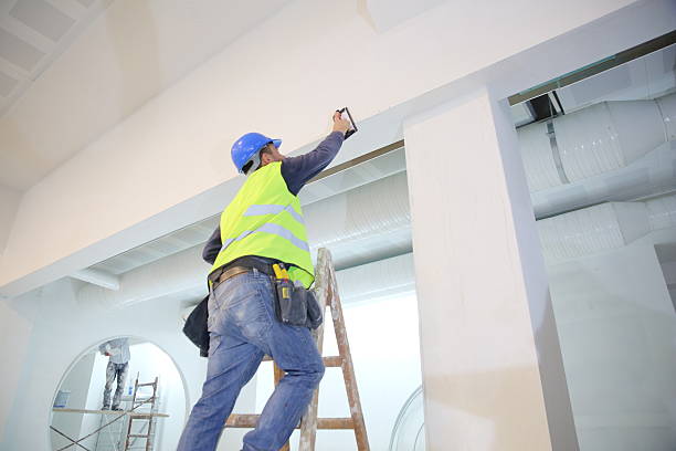 Best Attic Mold Removal  in Westlake Village, CA